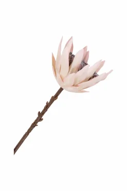 House Nordic Planter & Blomster-Buket King Protea