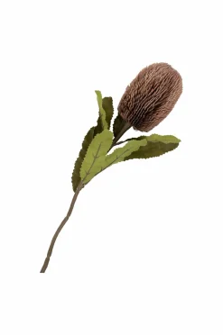 House Nordic Planter & Blomster-Buket King Protea