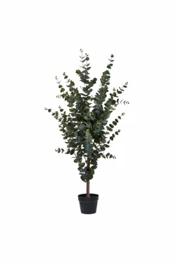House Nordic Planter & Blomster-Eukalyptustræ