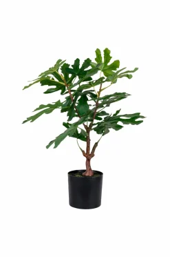 House Nordic Planter & Blomster-Figentræ