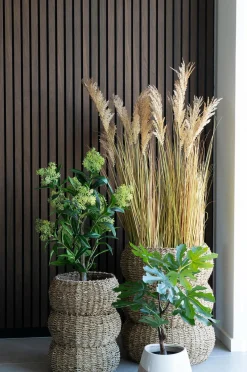 House Nordic Planter & Blomster-Figentræ