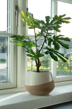 House Nordic Planter & Blomster-Figentræ