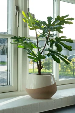 House Nordic Planter & Blomster-Figentræ