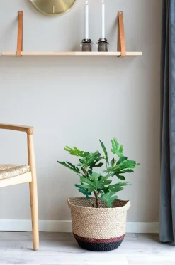 House Nordic Planter & Blomster-Figentræ