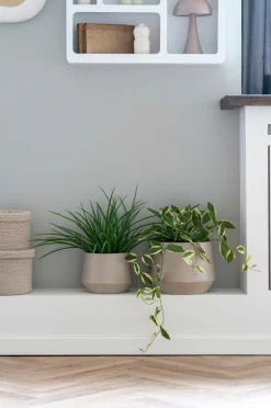 House Nordic Planter & Blomster-Græs