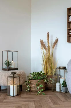 House Nordic Planter & Blomster-Hoya Carnosa