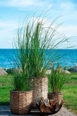 House Nordic Planter & Blomster-Krukke HANOI sæt med 3