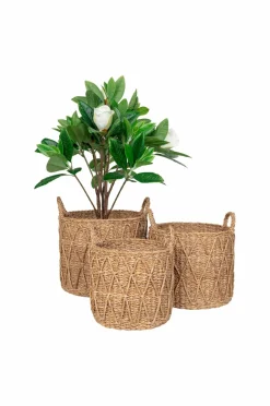 House Nordic Kurve-Kurv Krabi sæt med 3