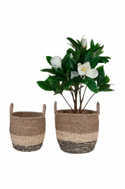 House Nordic Kurve-Kurv Lima