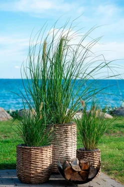 House Nordic Småopbevaring-Kurv Tires