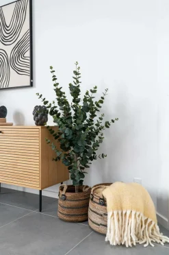 House Nordic Kurve-Kurve Erba - sæt med 2