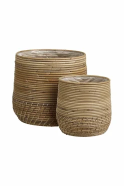 House Nordic Kurve-Kurve Moro