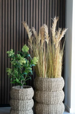 House Nordic Kurve-Kurve Sarbas