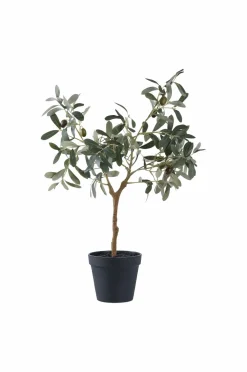 House Nordic Planter & Blomster-Oliventræ