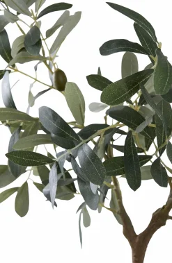 House Nordic Planter & Blomster-Oliventræ