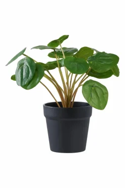 House Nordic Planter & Blomster-Pelia