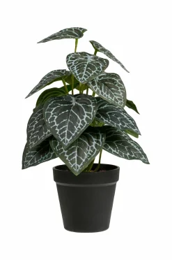 House Nordic Planter & Blomster-Plante, Artificial