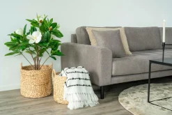 House Nordic Kurve-Rund kurv Passo, 2-pak