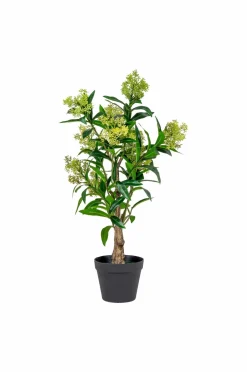 House Nordic Planter & Blomster-Vinterbær