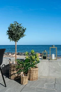 House Nordic Planter & Blomster-Vinterbær