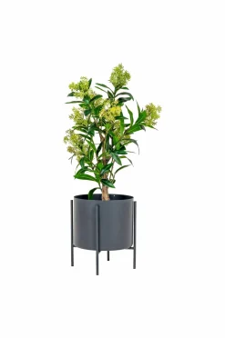 House Nordic Planter & Blomster-Vinterbær