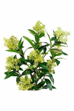 House Nordic Planter & Blomster-Vinterbær