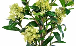 House Nordic Planter & Blomster-Vinterbær