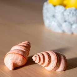 &k Amsterdam Husholdningsartikler-Salt & peber Shell