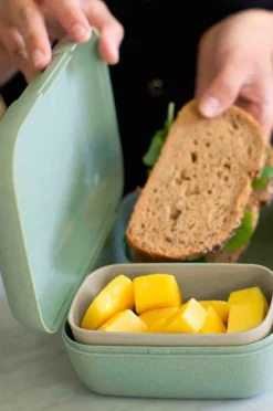 Koziol Køkkenopbevaring-Madkasse Candy Kids L