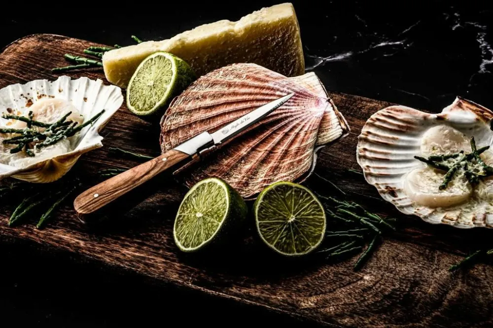 Laguiole Style de Vie Køkkenknive & Knivtilbehør-Østerskniv Set 2