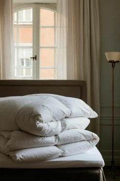 Mille Notti Dyner & Hovedpuder-Natura dundyne, varm