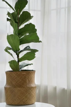 Mimou Kurve-Kurv Bliss med foldet kant