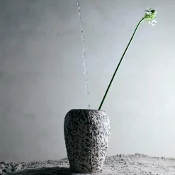 Muubs Vaser-Vase Dawn 26