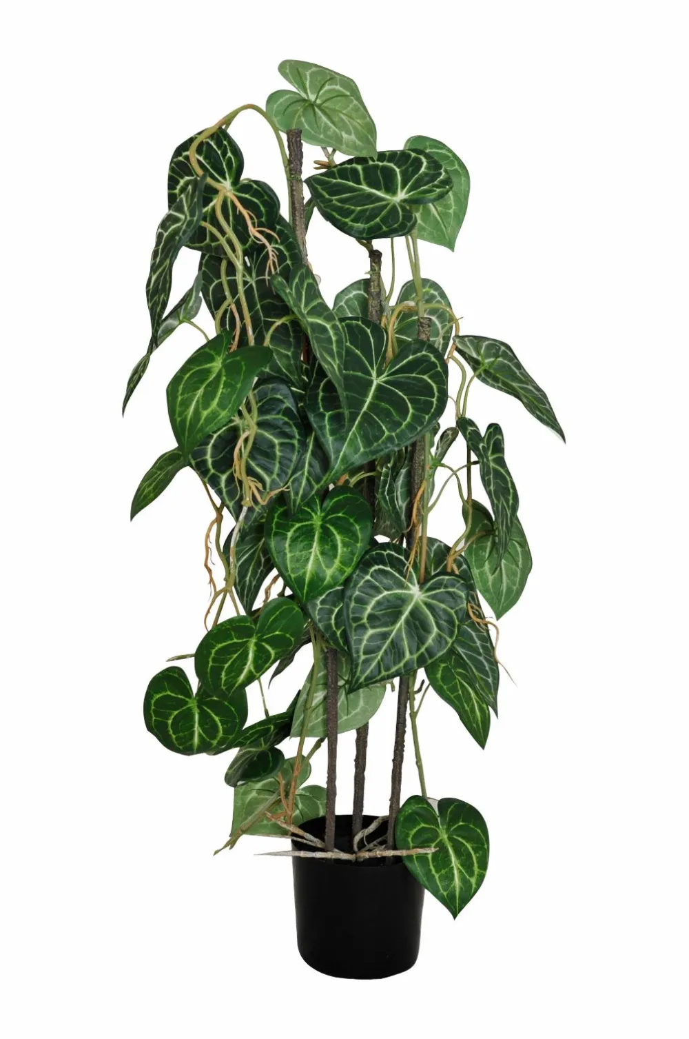 Nordic Furniture Group Planter & Blomster-Kunstplante Viridis Anthurium