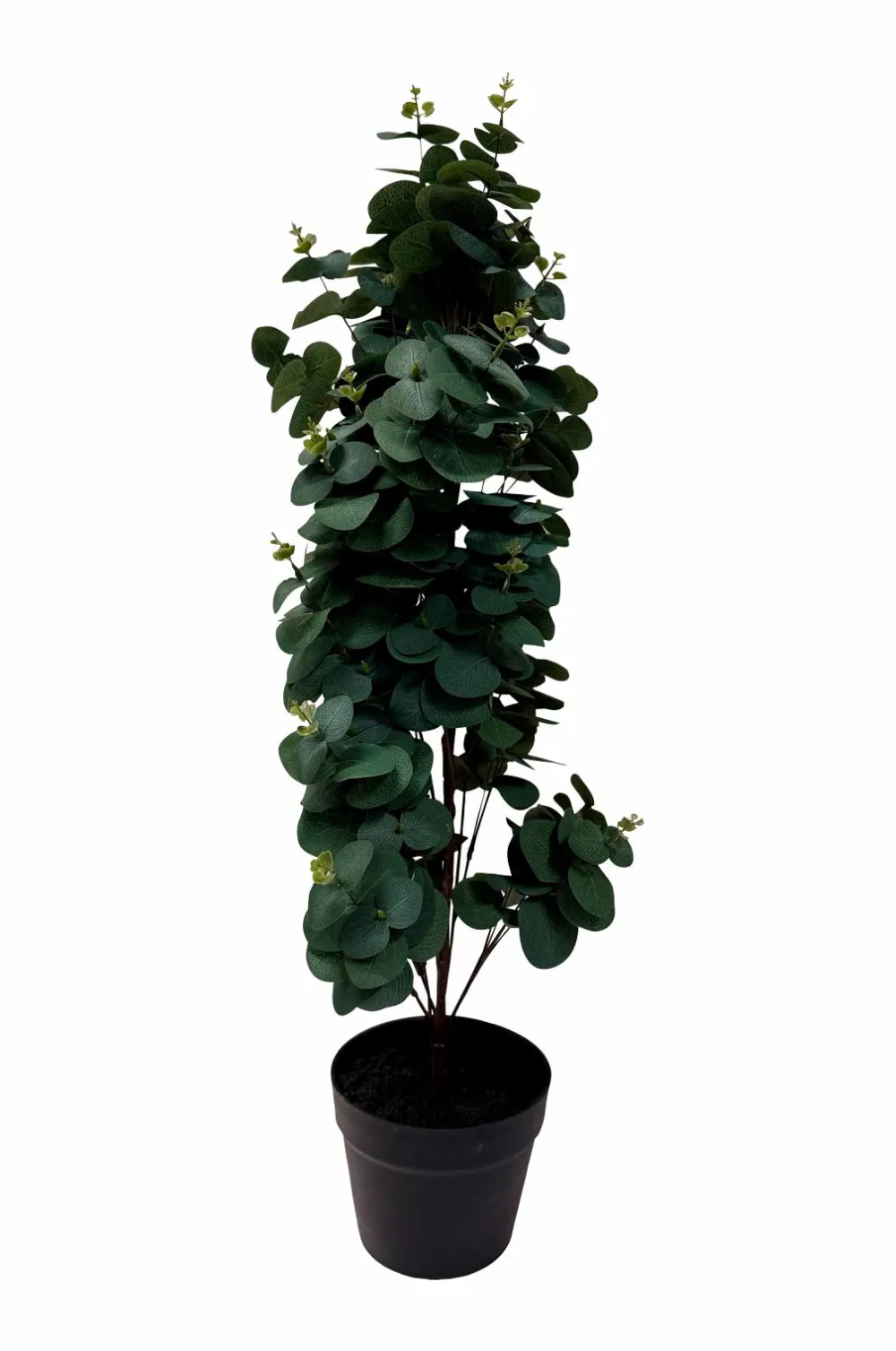 Nordic Furniture Group Planter & Blomster-Kunstplante Viridis Eucalyptus 78