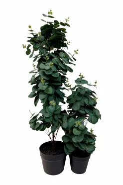 Nordic Furniture Group Planter & Blomster-Kunstplante Viridis Eucalyptus 78