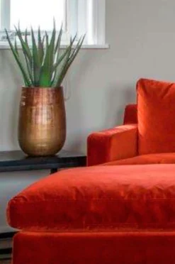 Nordic Furniture Group Planter & Blomster-Aloe Vera plante H 50 cm