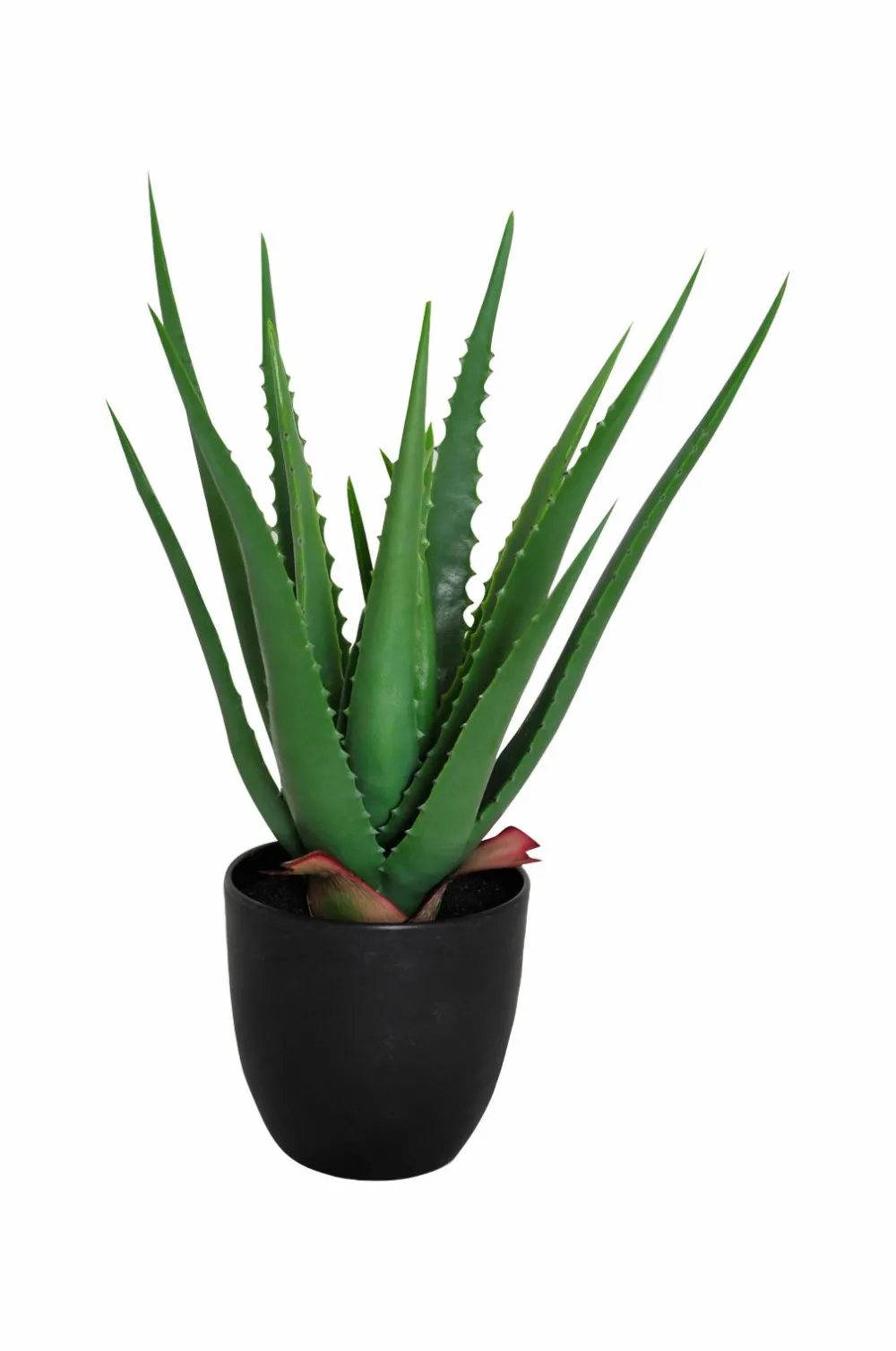 Nordic Furniture Group Planter & Blomster-Kunstplante Viridis Aloe Vera