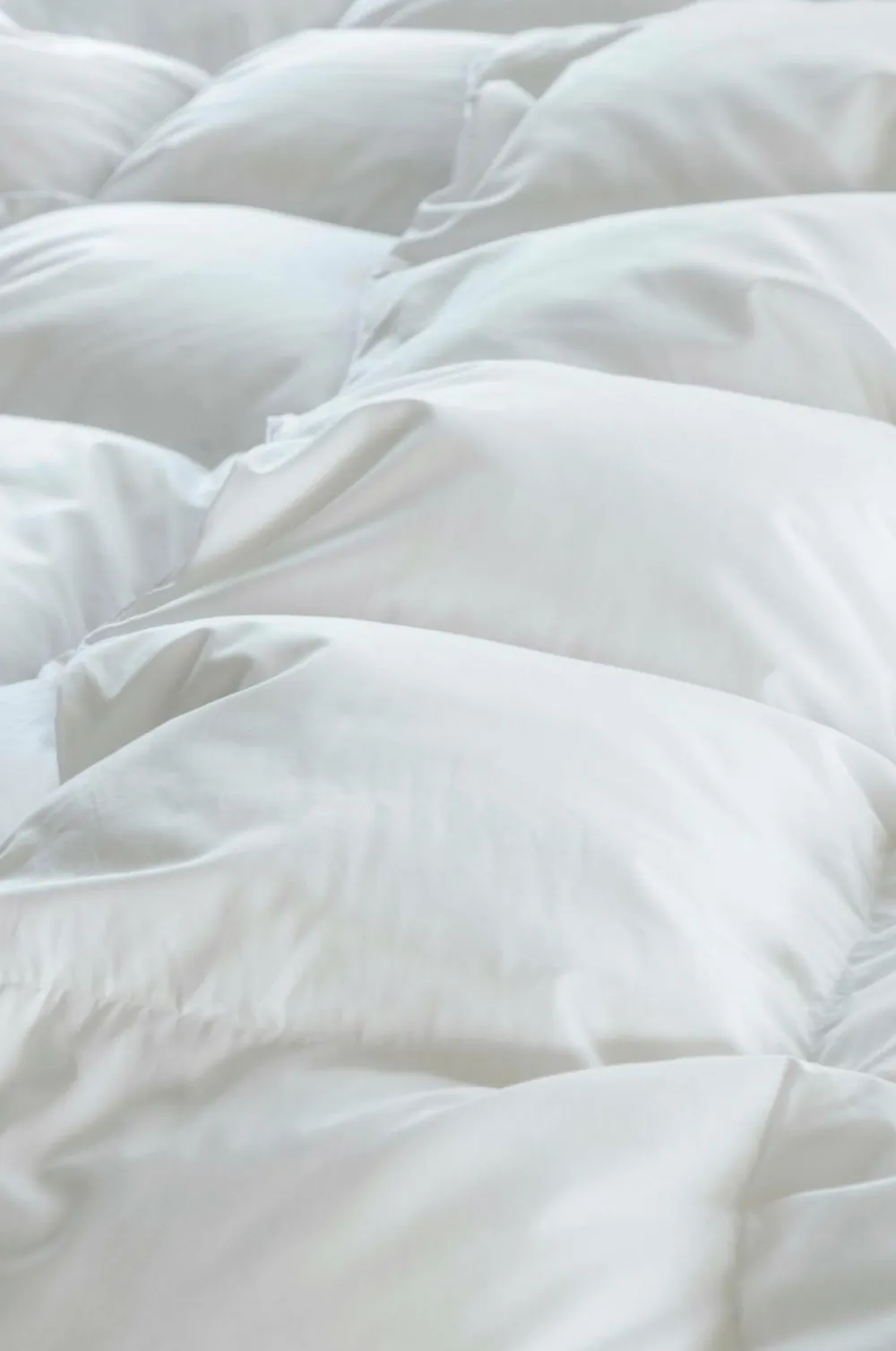 Norsk Dun Dyner & Hovedpuder-Dyne 50 % andedun Medium