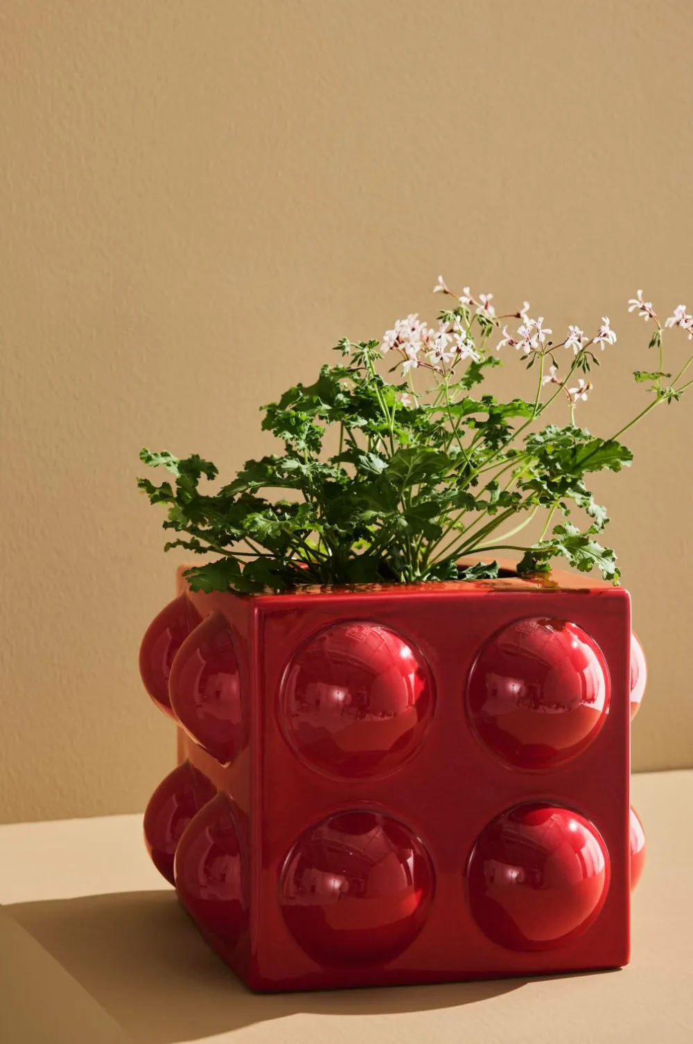 Pastill Potteskjulere-Boo potte