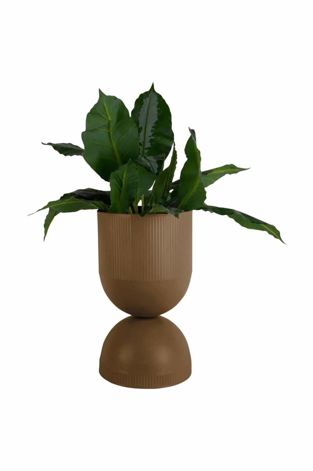 Present Time Potteskjulere-Plantekrukke Tonar Large