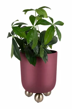 Present Time Potteskjulere-Plantekrukke Estilo Large