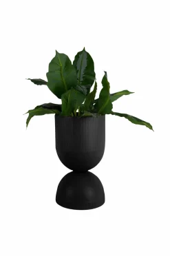 Present Time Potteskjulere-Plantekrukke Tonar Large