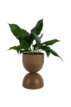 Present Time Potteskjulere-Plantekrukke Tonar