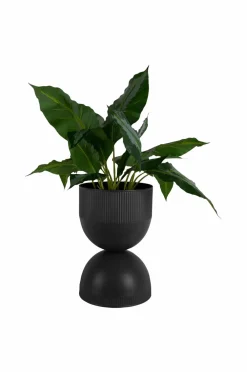 Present Time Potteskjulere-Plantekrukke Tonar