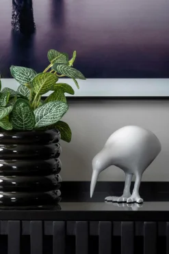 Present Time Pynteting-Statue Kiwi Bird