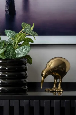 Present Time Pynteting-Statue Kiwi Bird