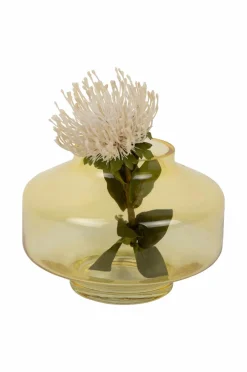 Present Time Vaser-Vase Pasmoso