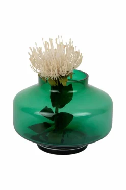 Present Time Vaser-Vase Pasmoso