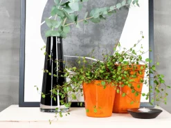 Rotor design Potteskjulere-Stor krukke